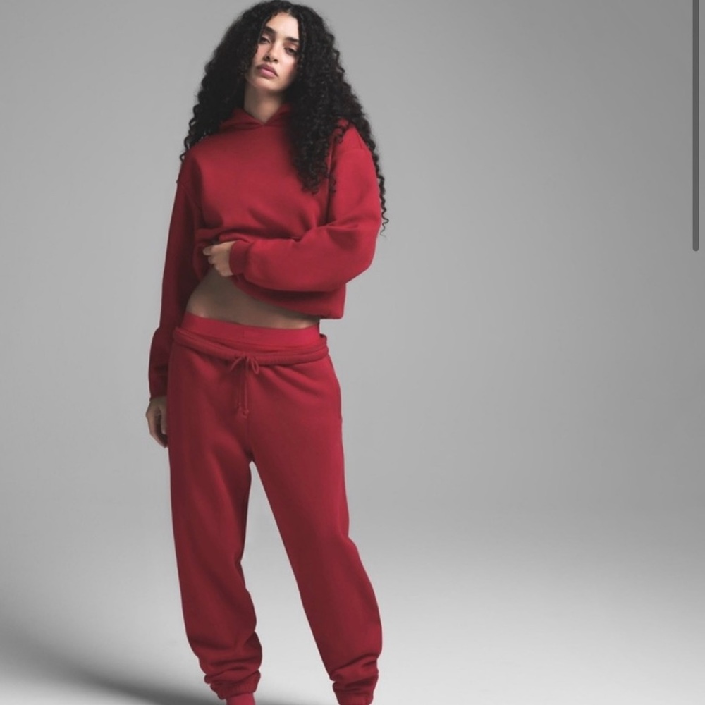 Skims Brick Jogger set hoodie and sweatpants